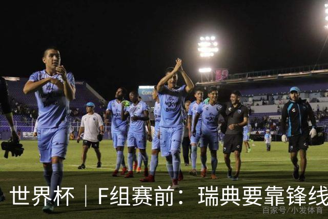 世界杯｜F组赛前：瑞典要靠锋线双星 突尼斯欲出线